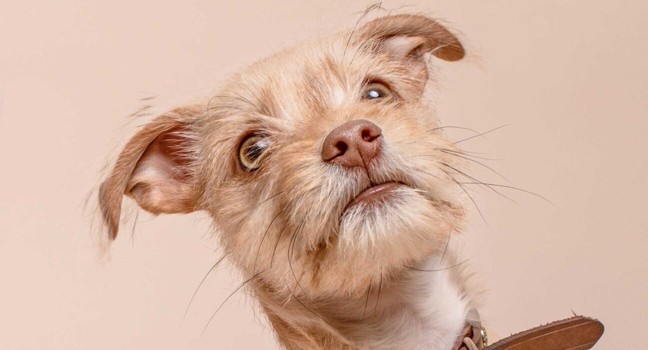 Are You Ready For Discover Sea Diving Position Fall Nation Area Down