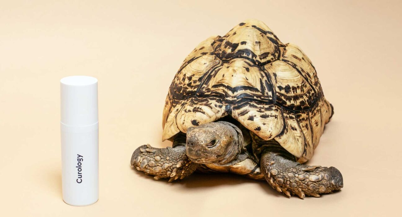 African Nation Are Strugling To Save Their Wildlife 2 African Nation Are Strugling To Save Their Wildlife