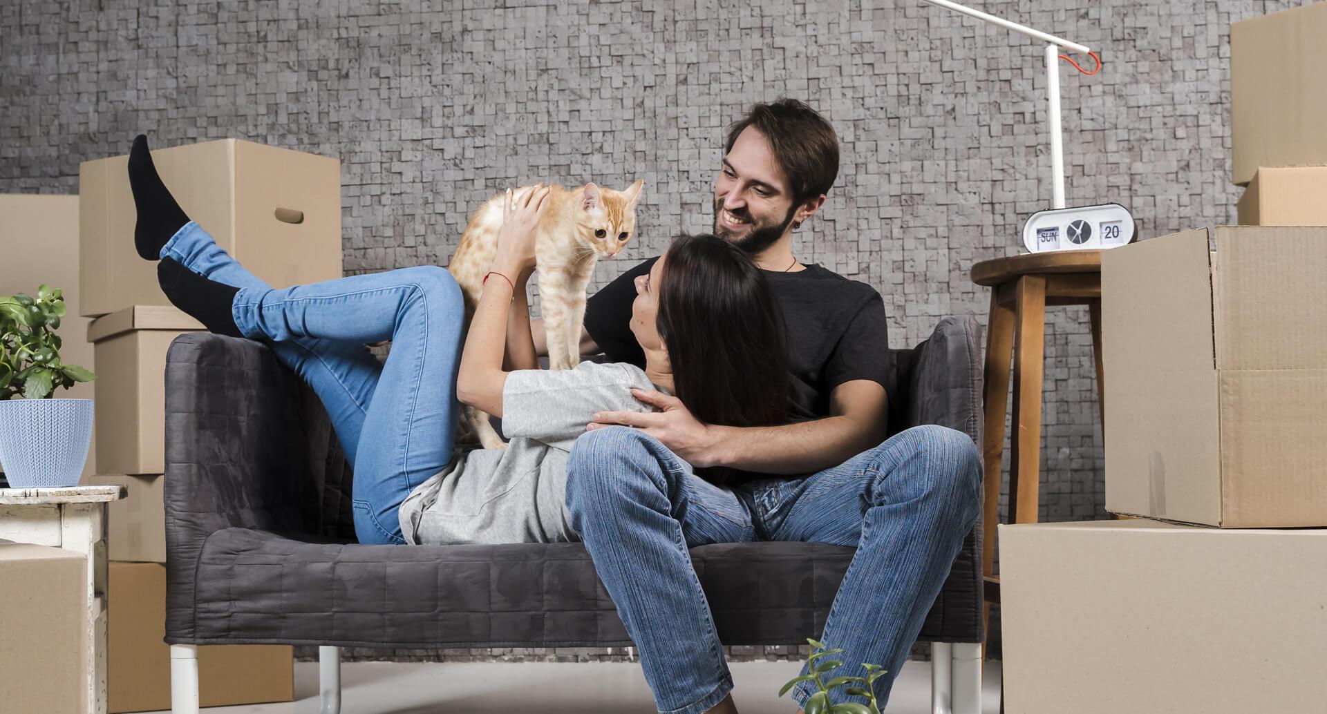 Adorable Clip of Tiger Cubs Learning to Wrestle Will Melt Your Heart